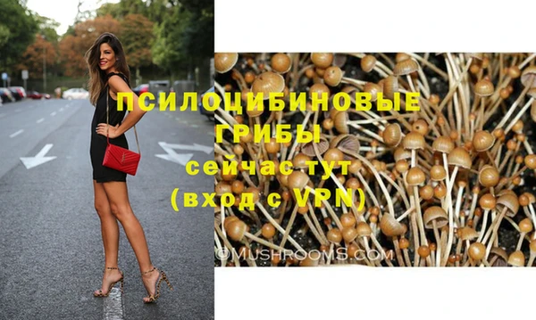 прущая мука Няндома