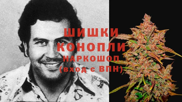 прущая мука Няндома