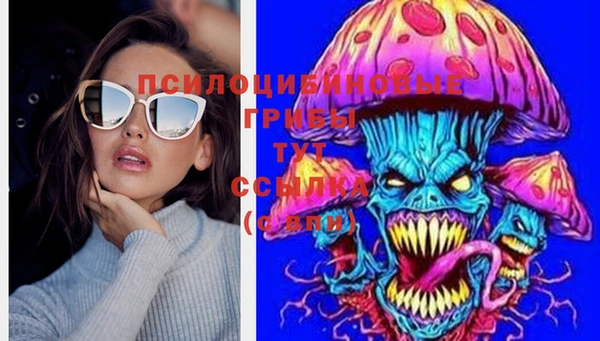 крисы Нягань