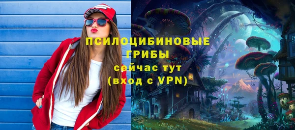 прущая мука Няндома
