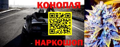 ALPHA PVP Канаш