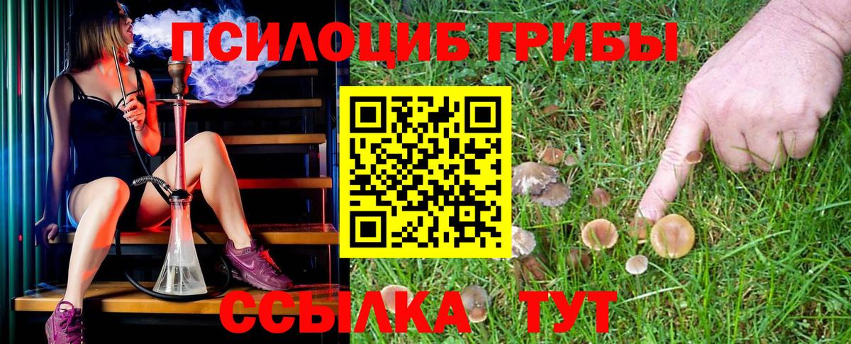 Сертолово  Галлюциногенные грибы GOLDEN TEACHER  Вход с VPN 