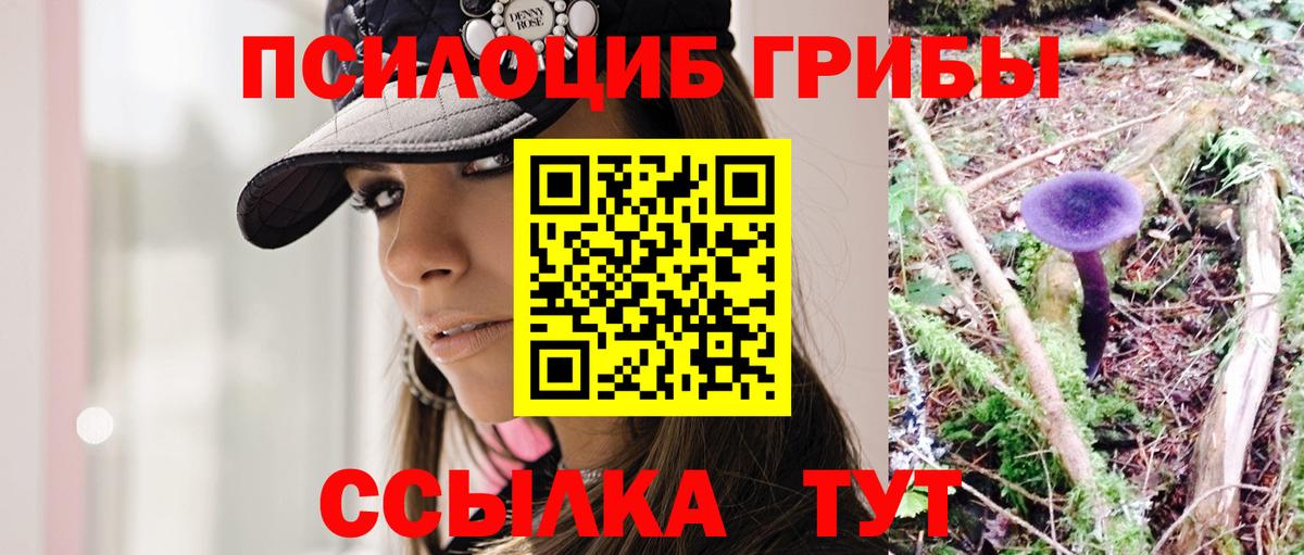 Псилоцибиновые грибы Psilocybe  Псилоцибиновые грибы Psilocybe  Сертолово 