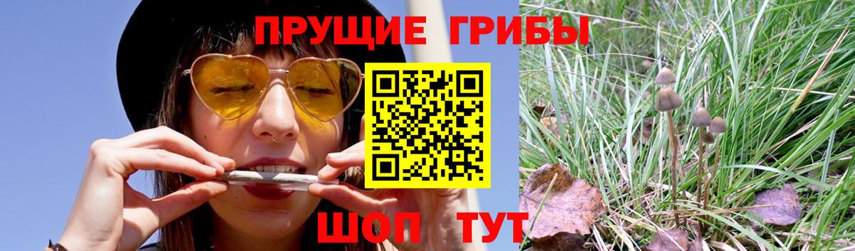 Псилоцибиновые грибы Magic Shrooms Сертолово
